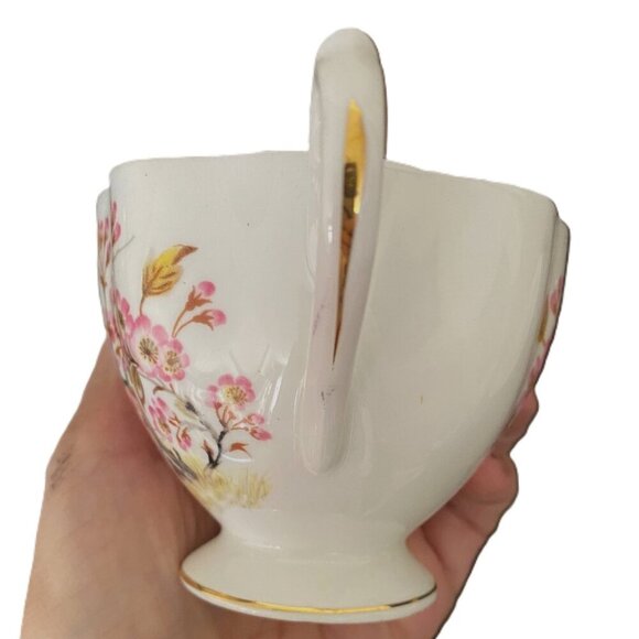 Vintage Queen Anne Bird in Cherry Blossom Tree Fine Bone China Cup Saucer Set - Picture 12 of 15